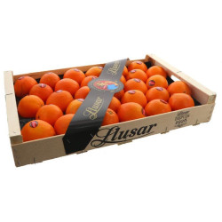 ORANGE LLUSAR LITEE 8KG